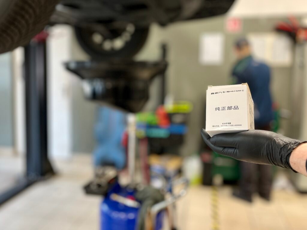 serwis samochodów chińskich